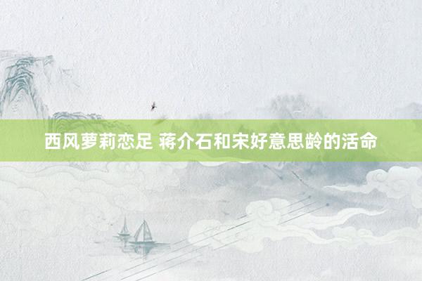 西风萝莉恋足 蒋介石和宋好意思龄的活命