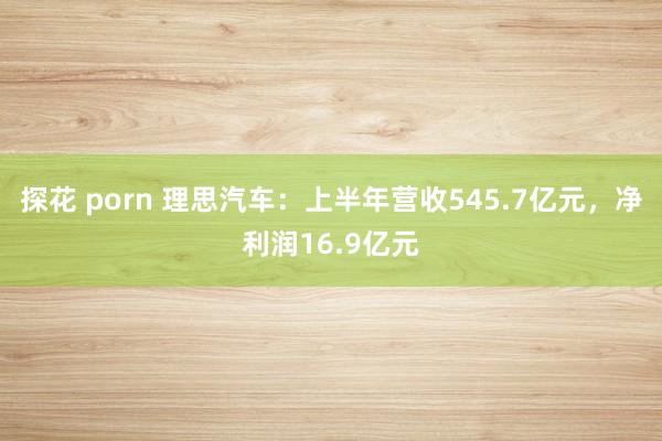 探花 porn 理思汽车：上半年营收545.7亿元，净利润16.9亿元