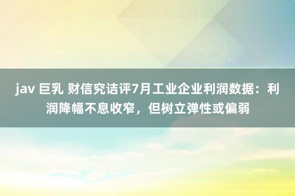 jav 巨乳 财信究诘评7月工业企业利润数据：利润降幅不息收窄，但树立弹性或偏弱