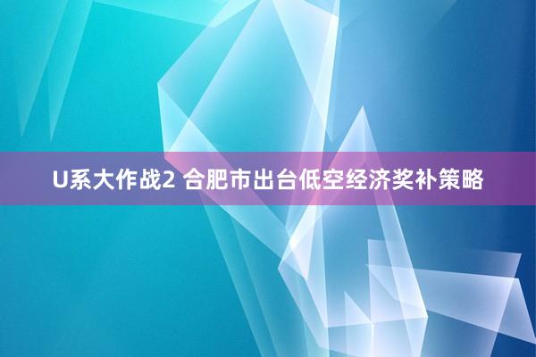 U系大作战2 合肥市出台低空经济奖补策略